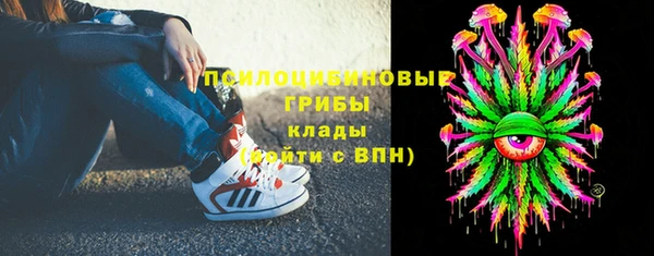 спиды Абаза