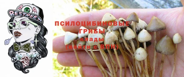 гашиш Абинск