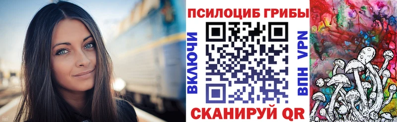 купить наркотики сайты  mega онион  Псилоцибиновые грибы GOLDEN TEACHER  Эртиль 